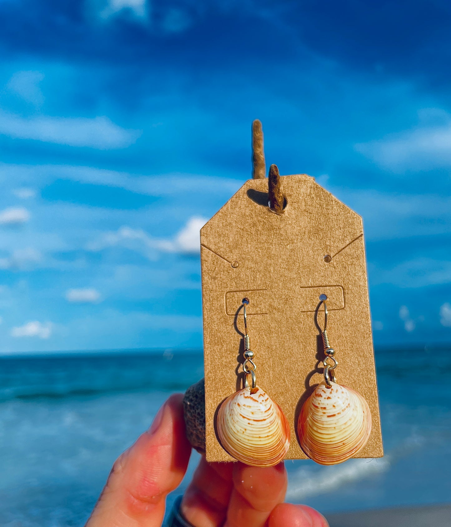 Unique Coloured Shell Earrings