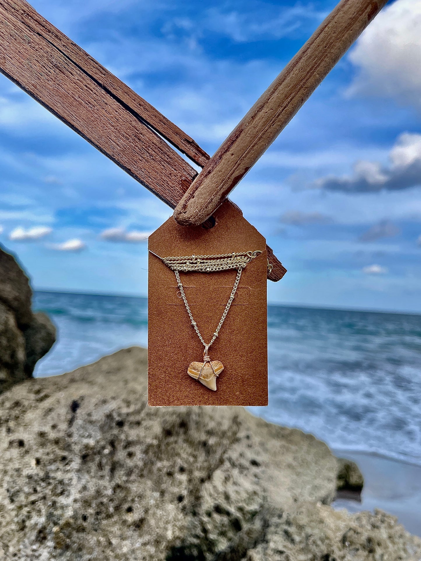 Smaller Shark Tooth Necklace