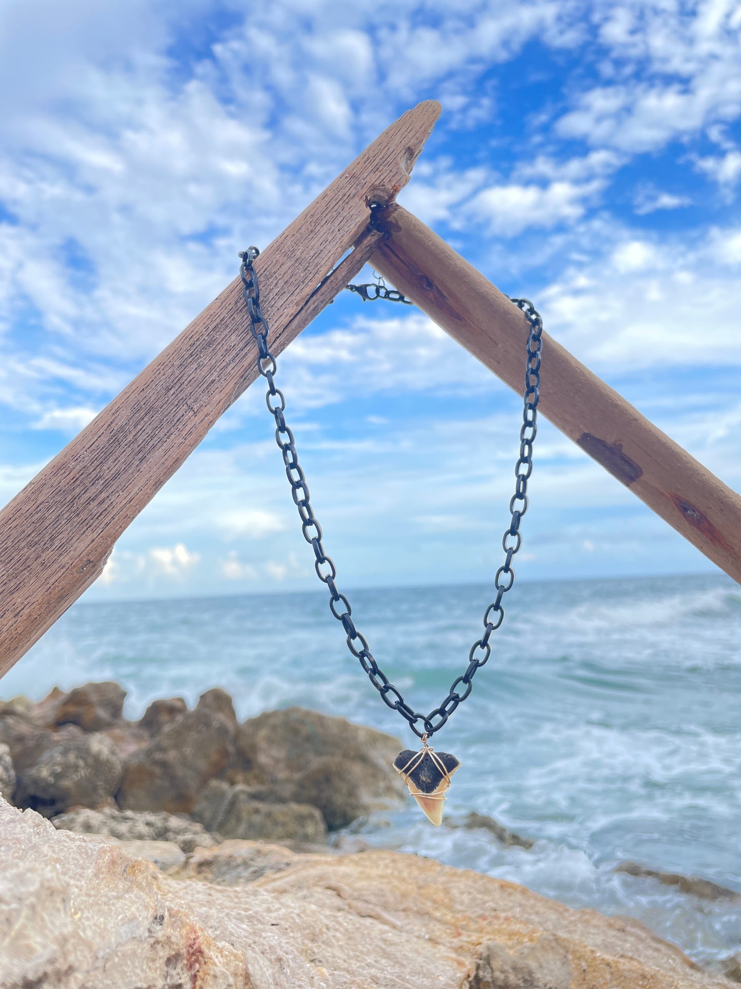Shark Tooth on Black Chain