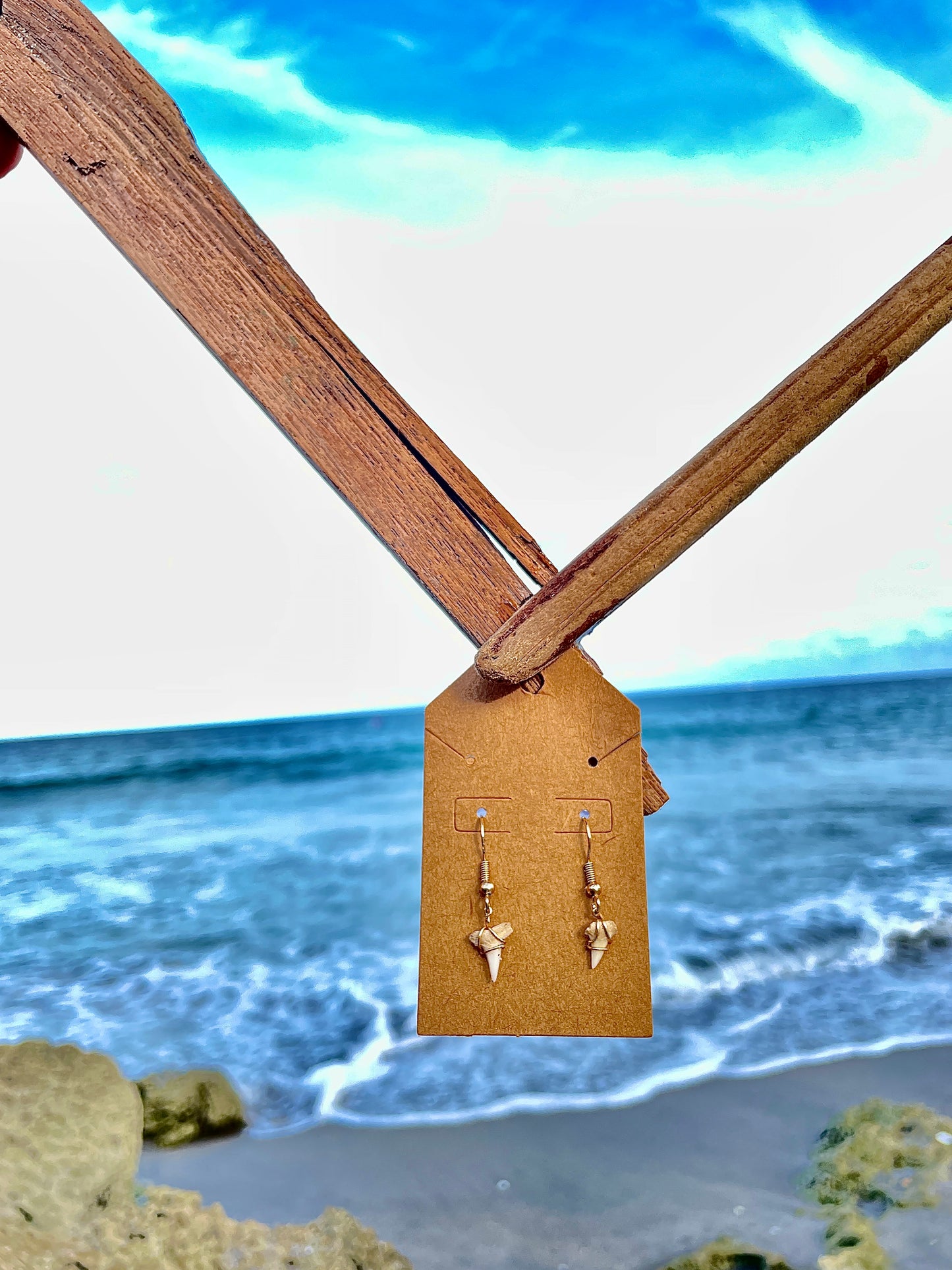 Mini Shark Tooth Earrings
