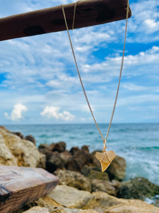 Large Shark Tooth Gold Necklace