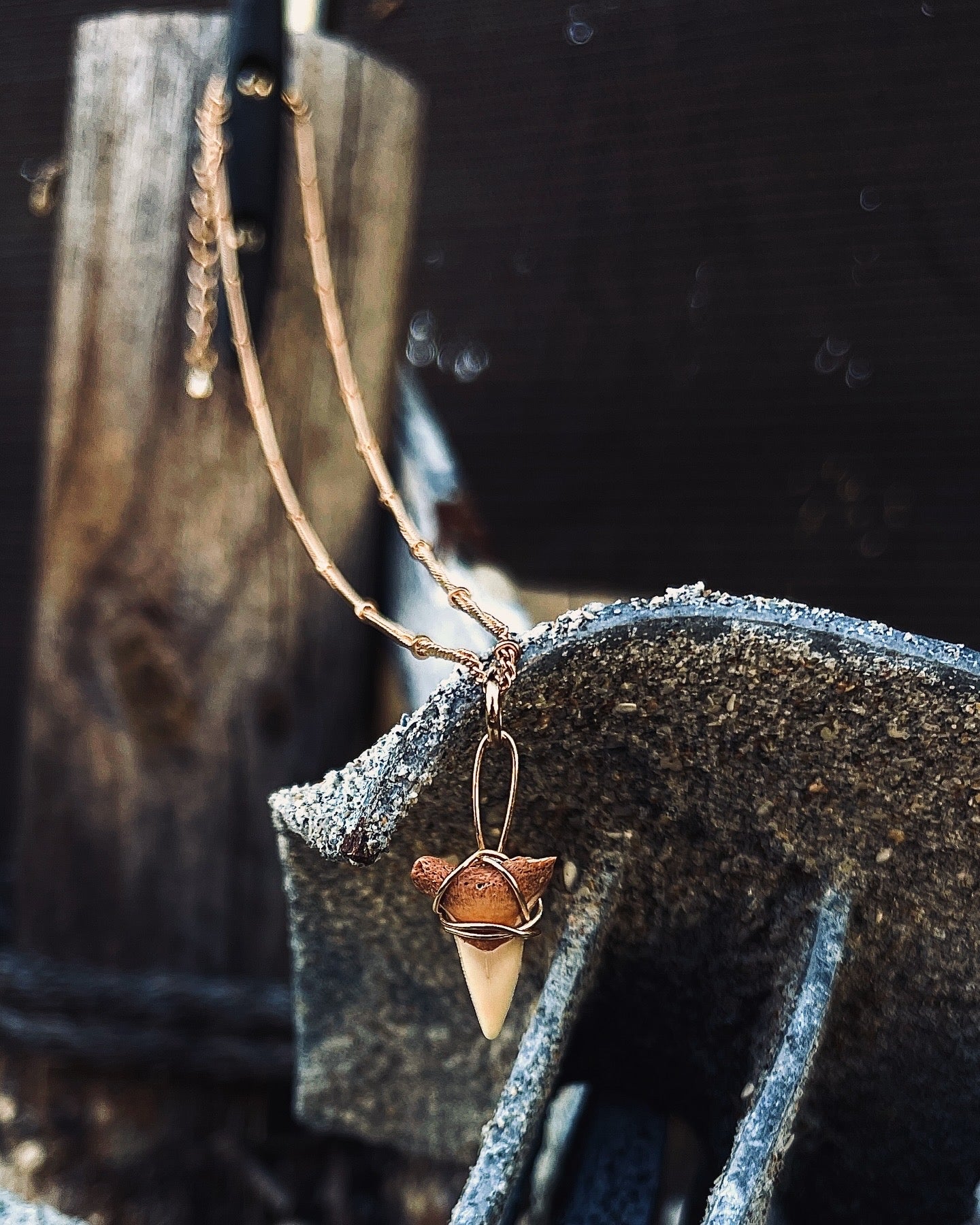 Shark Tooth on Gold Chain
