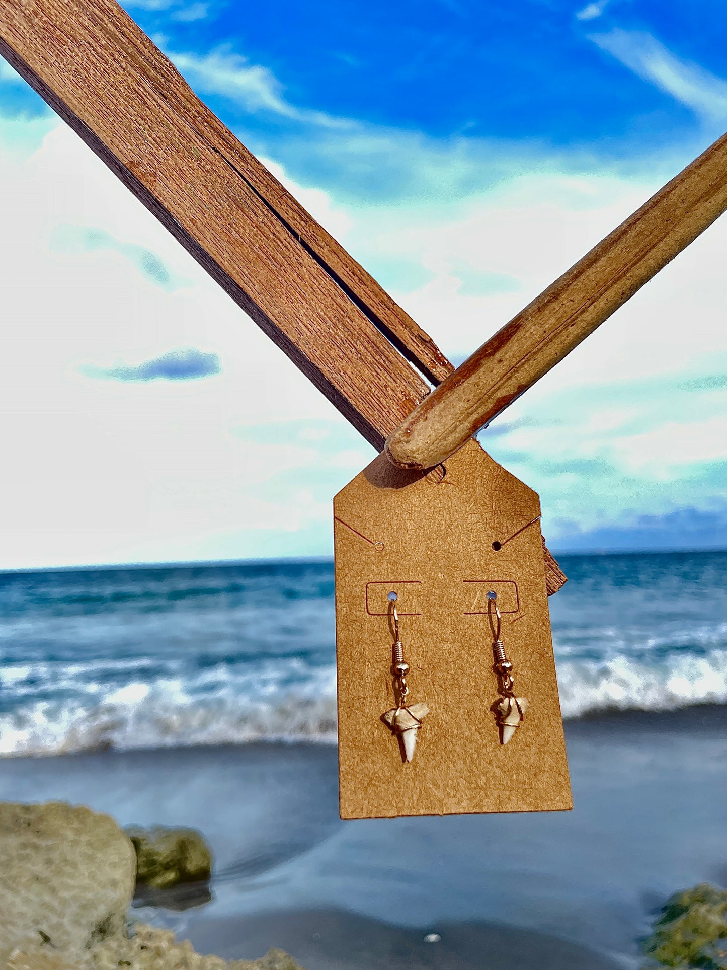 Mini Shark Tooth Earrings