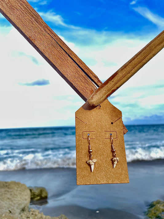 Mini Shark Tooth Earrings