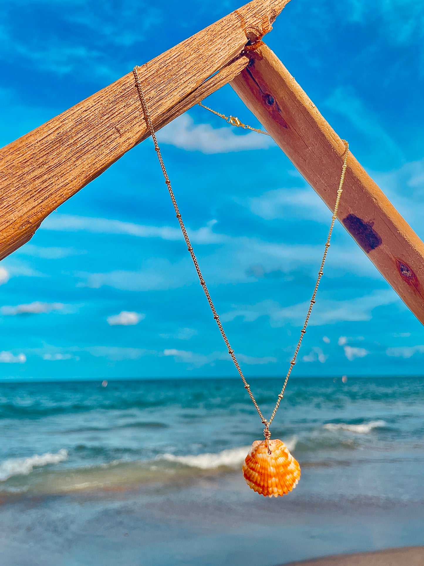 Calico Shell Necklace