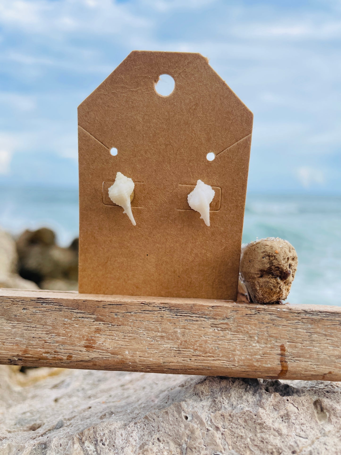White Murex Shell Earrings