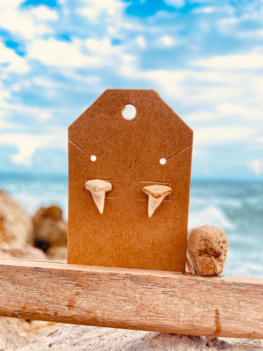 Shark Tooth Earrings