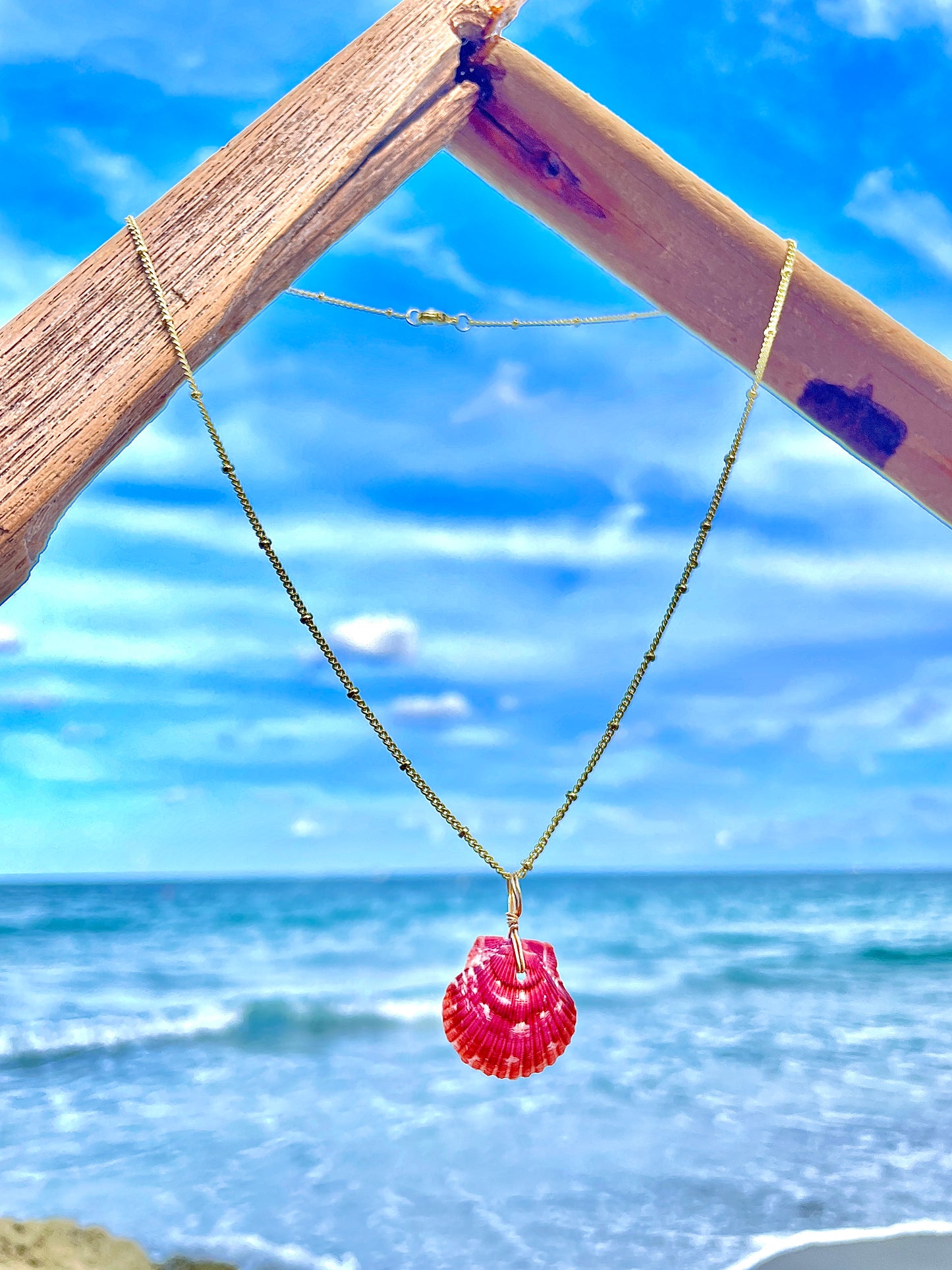 Calico Shell Necklace