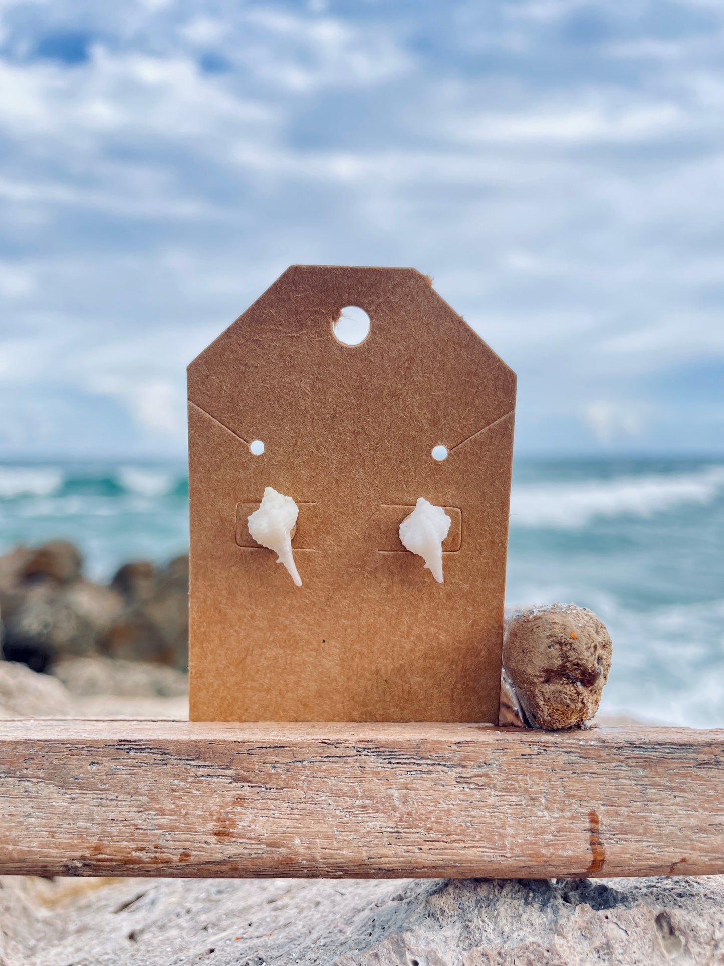 White Murex Shell Earrings