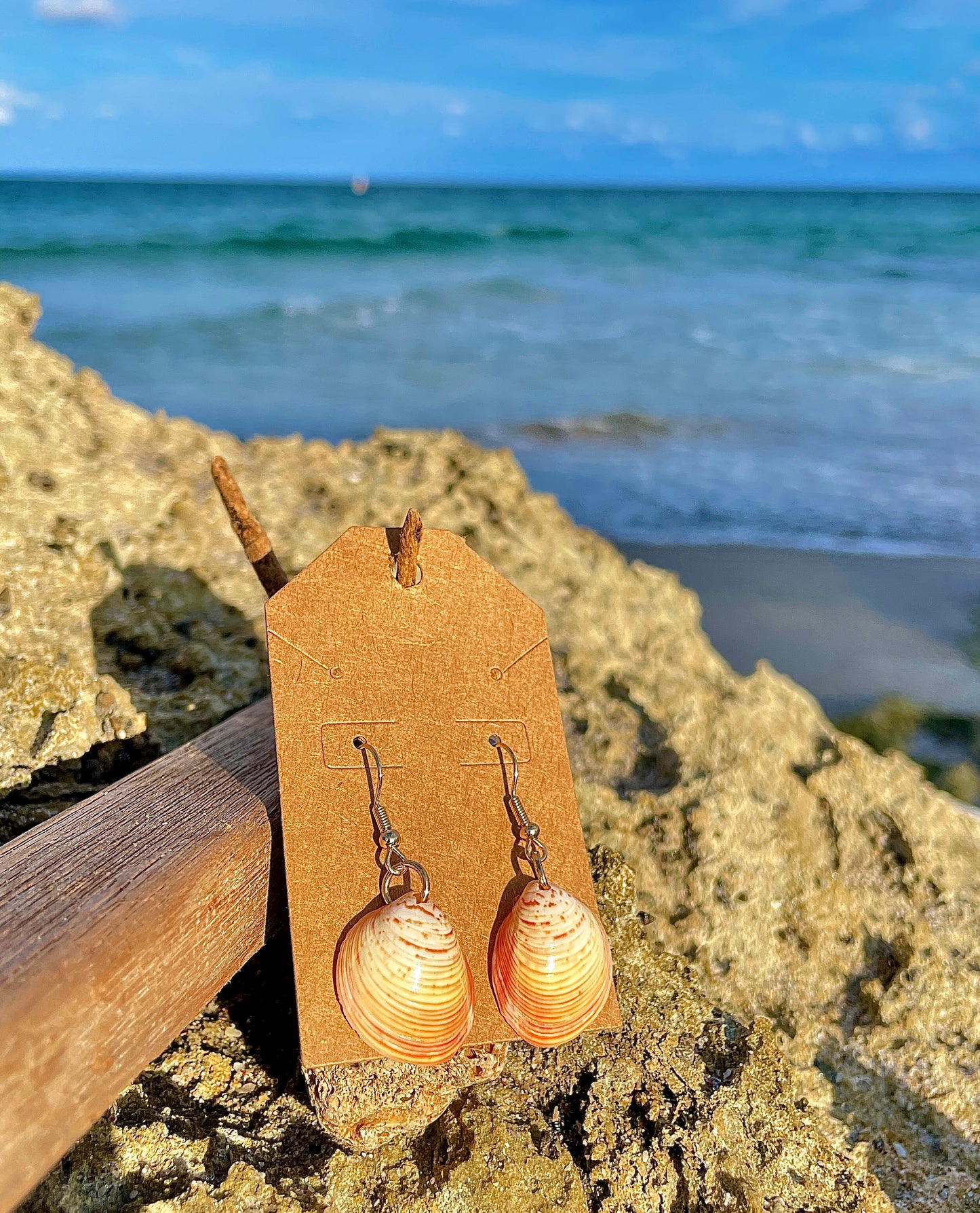 Unique Coloured Shell Earrings