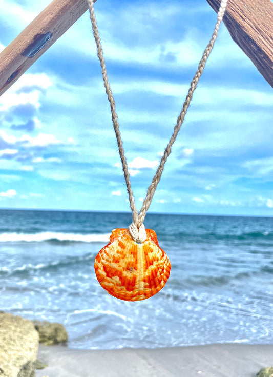 Hemp Cord Braided Giant Calico Scallop Necklace