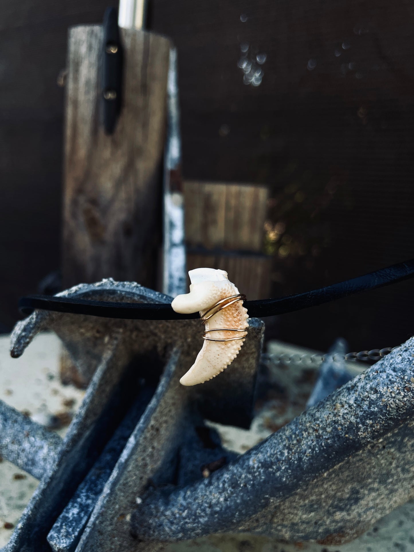 Giant Claw on Black Leather Choker