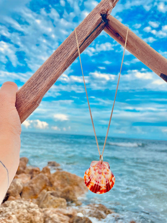 Calico Shell Necklace