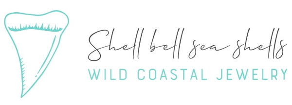 Shell Bell Sea Shells